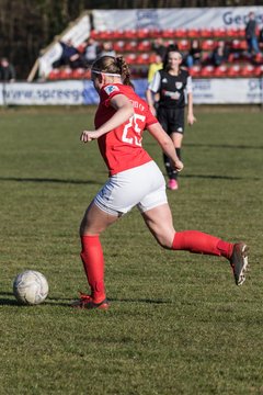 Bild 415 - wBJ Holstein Kiel - Magdeburger FFC : Ergebnis: 2:2